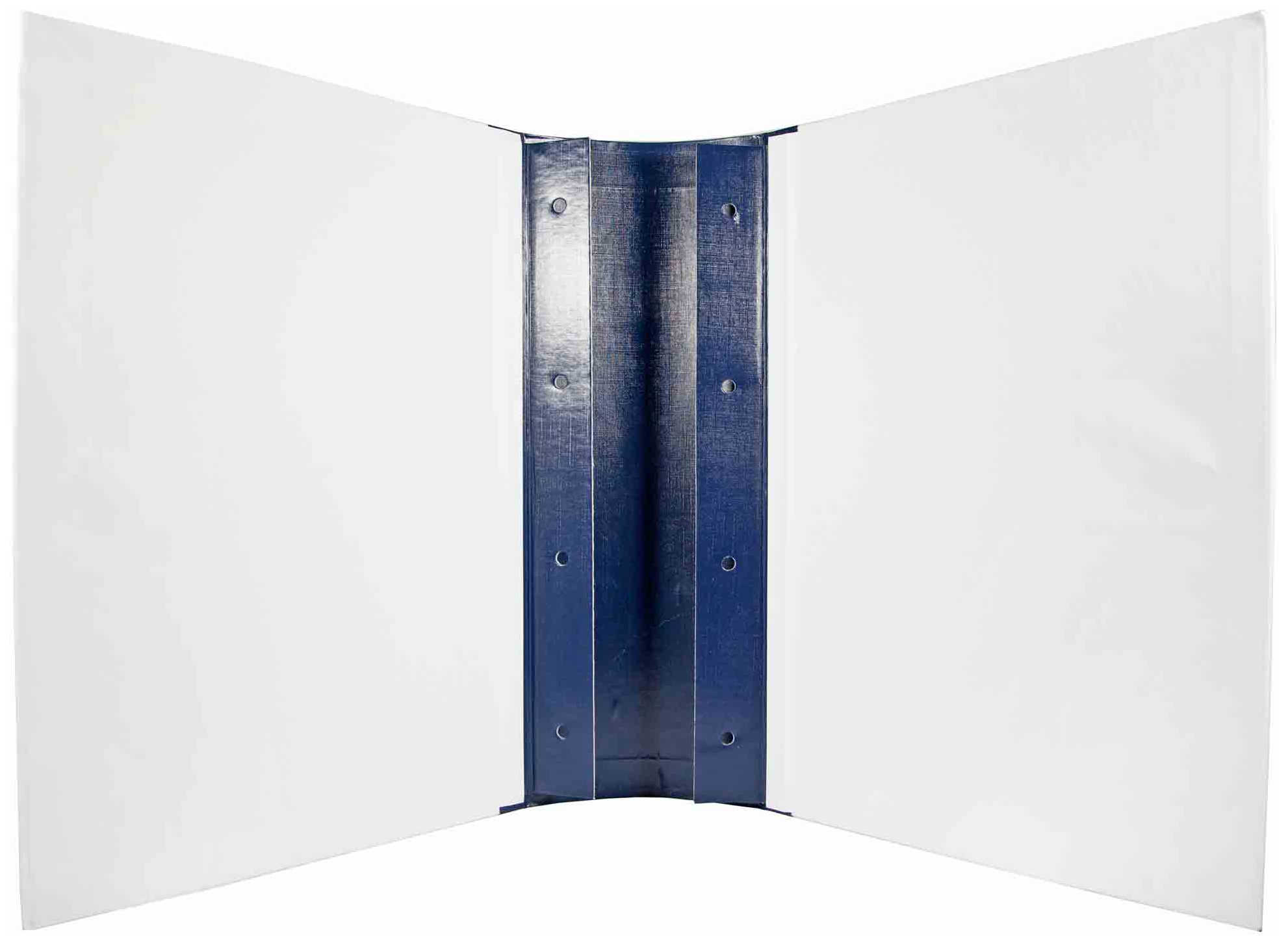 Цена: 136.64 руб. Архивная папка "Дело" (форма 21) А4, 100 мм, бумвинил, с Г-образными гребешками, шнурки, синяя