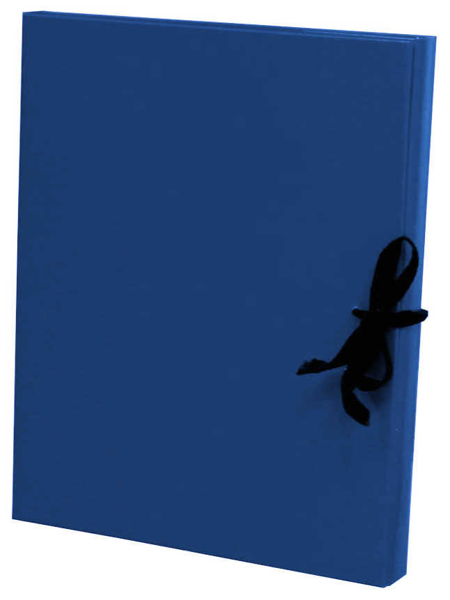 Цена: 140.42 руб. Архивная папка А4, 20 мм, бумвинил, с гребешками, 2 шнурка, синяя