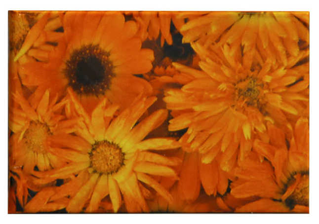 Цена: 38.36 руб. Блокнот ламинированный, Оранжевые цветы, (9,5см*6,5 см) горизонтальный