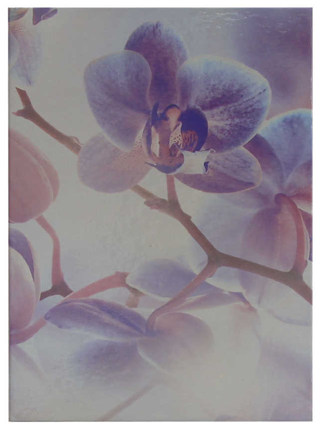 Цена: 76.02 руб. Блокнот ламинированный, Орхидея, (12см*18см) вертикальный