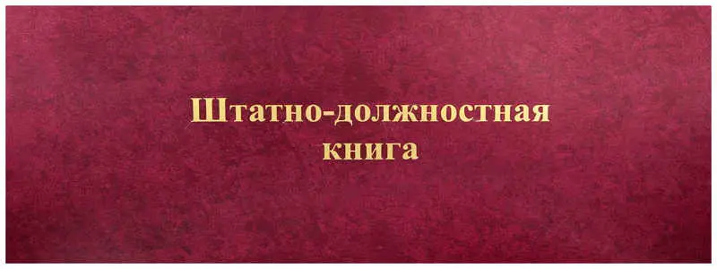 Архивная папка 595*217 мм, бумвинил бордо с разводами, с гребешками (4 отверстия), выклейка бумвинил, корешок 2,5 см, Наклейка