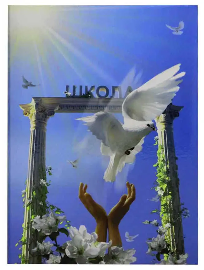 Папка адресная ламинированная А4 (пухлая) без тиснения Арка