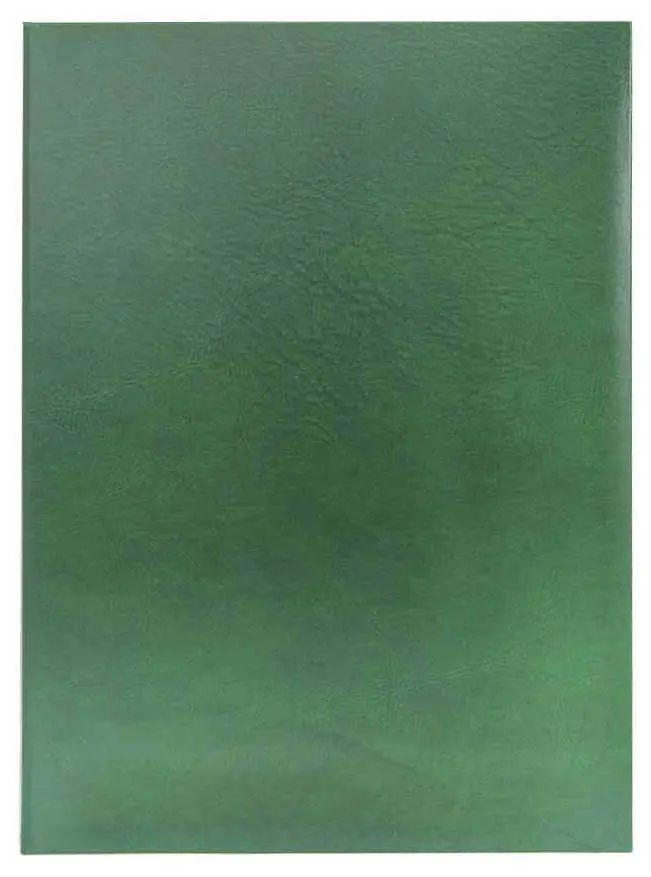 Папка адресная бумвинил А4 (жесткая) без тиснения зеленая с разводами