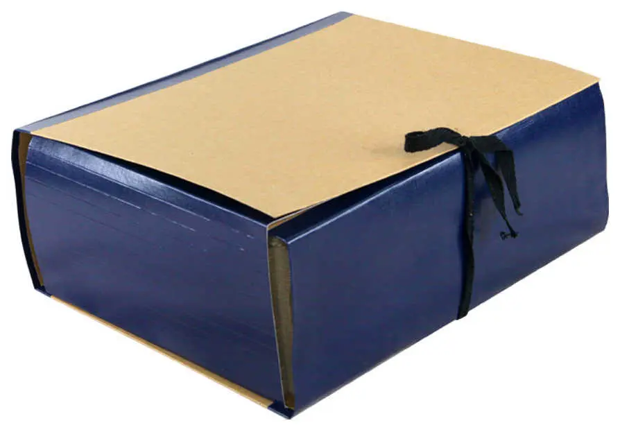 Архивная папка А4, 120 мм, крафт/бумвинил, 4 завязки, синяя