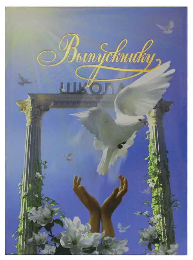 Папка адресная ламинированная А4 (пухлая) + 3 файла "Выпускнику" Арка