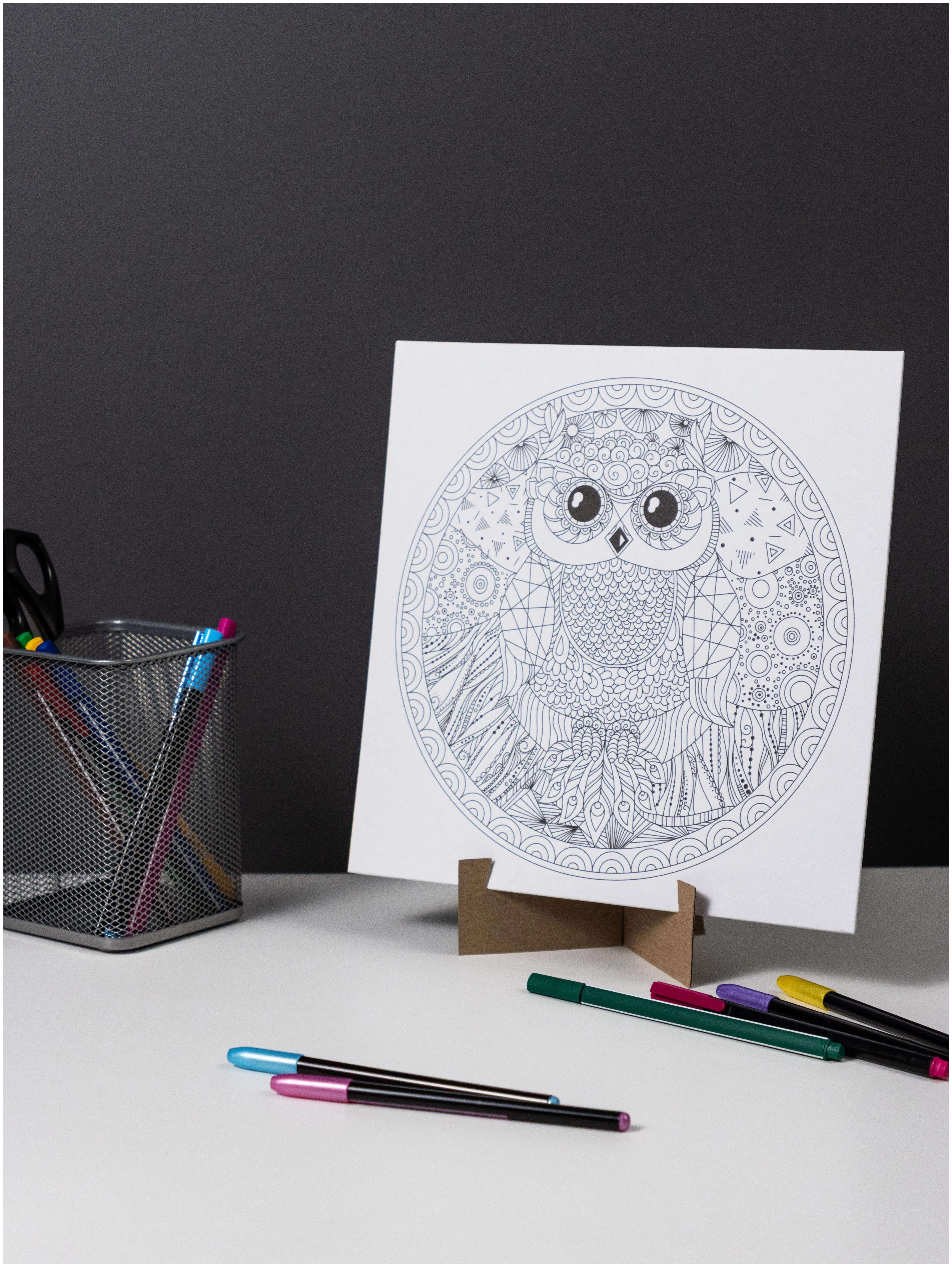 Набор для творчества Раскраска-Мандала "Сова" размер 260х260 мм